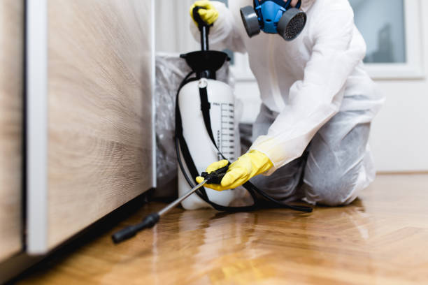 Best Affordable Pest Control Services  in Freeport, TX