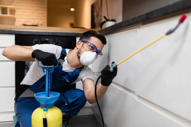 Best Commercial Pest Control Services  in Freeport, TX
