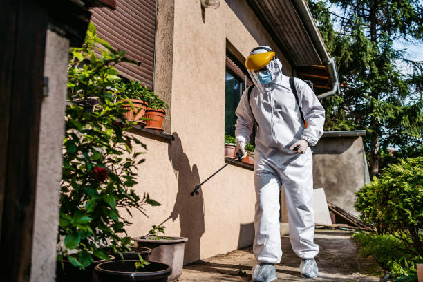 Best Termite Control Services  in Freeport, TX