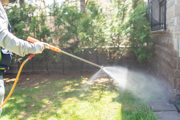 Best Pest Prevention Services  in Freeport, TX
