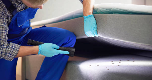 Best Residential Pest Control  in Freeport, TX