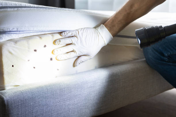 Best Exterminator Services  in Freeport, TX