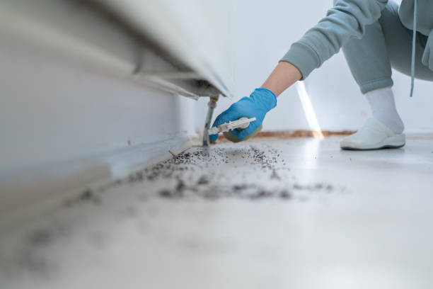 Best Best Pest Control Companies  in Freeport, TX
